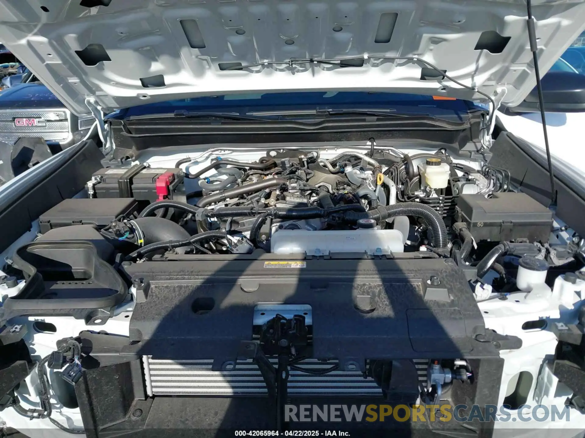 10 fotografías del automóvil dañado 3TYKD5HN2RT000445 TOYOTA TACOMA 2024