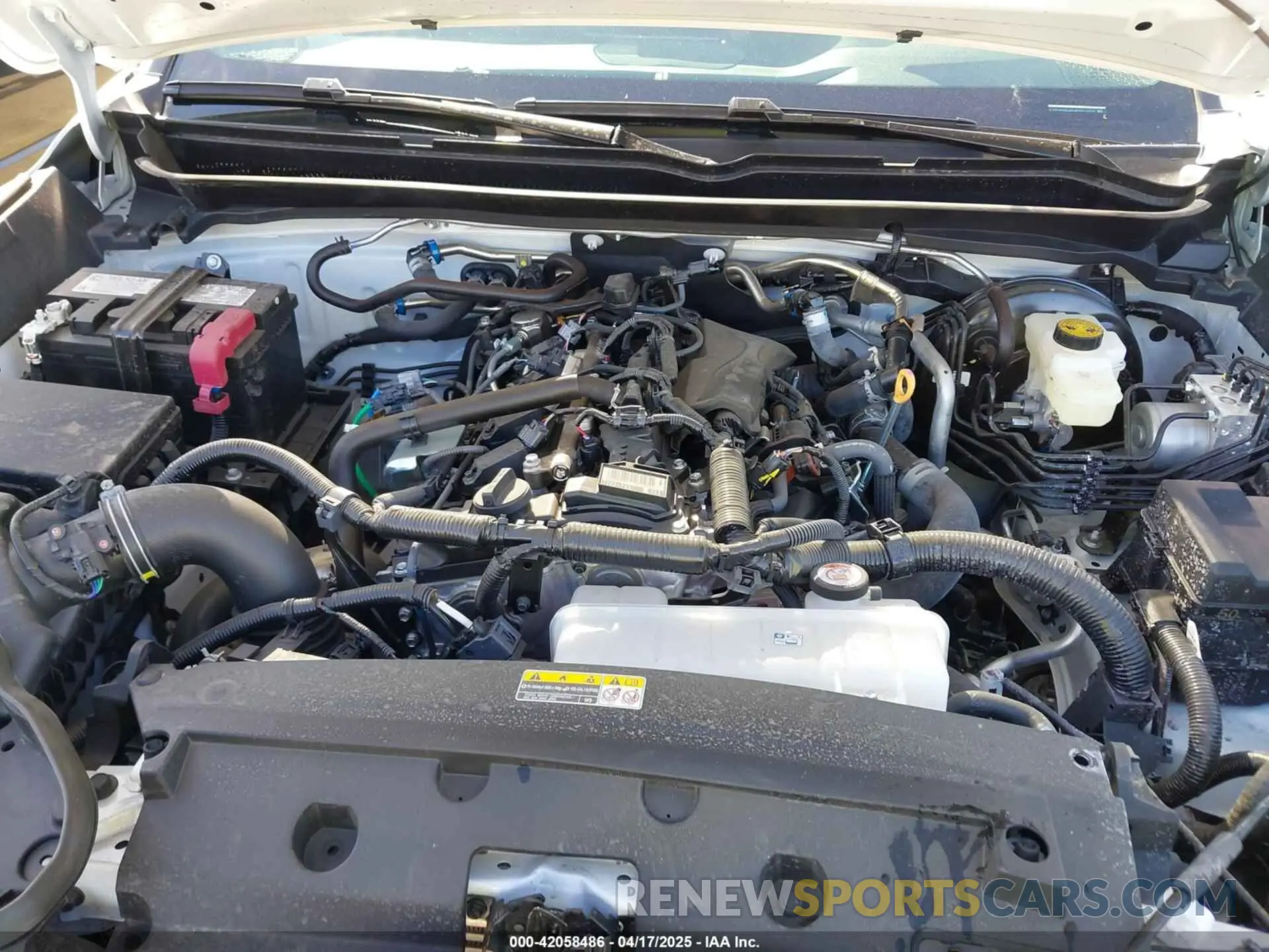 10 fotografías del automóvil dañado 3TYKD5HNXRT012102 TOYOTA TACOMA 2024