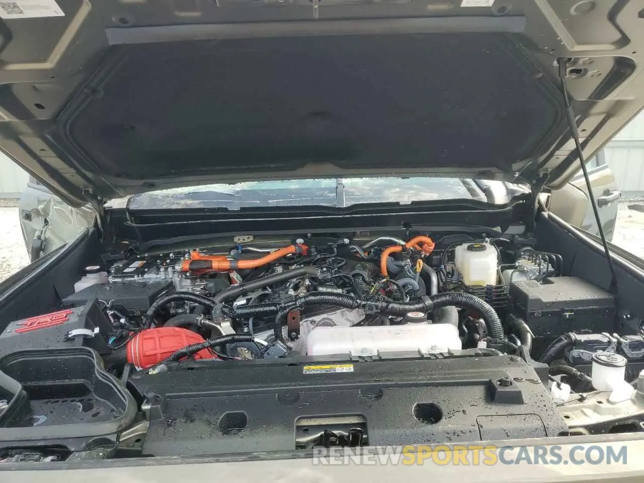 11 fotografías del automóvil dañado 3TYLC5LN9RT010033 TOYOTA TACOMA 2024