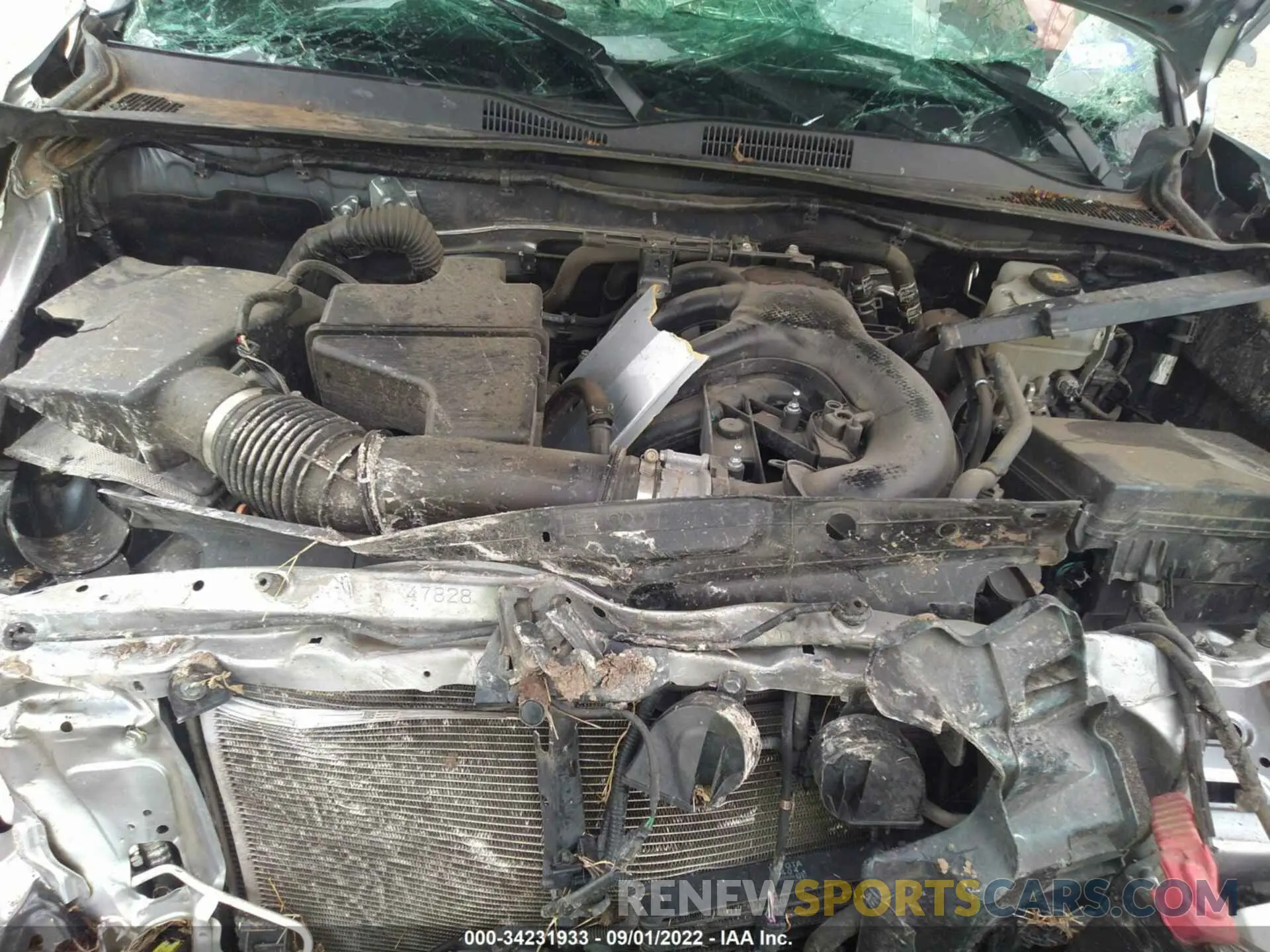 10 fotografías del automóvil dañado 3TMCZ5AN1KM232102 TOYOTA TACOMA 4WD 2019