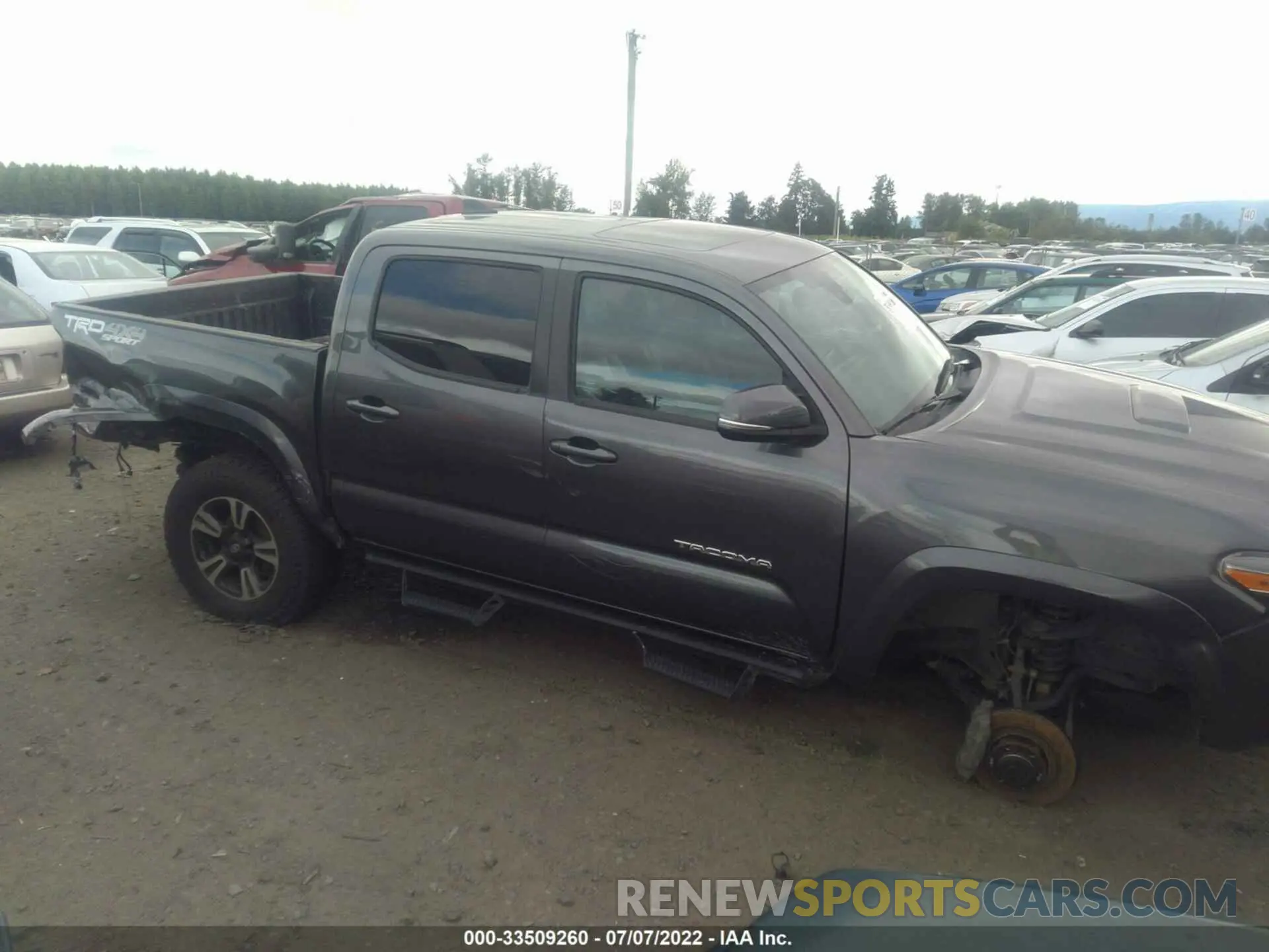 6 fotografías del automóvil dañado 3TMCZ5AN3KM241951 TOYOTA TACOMA 4WD 2019