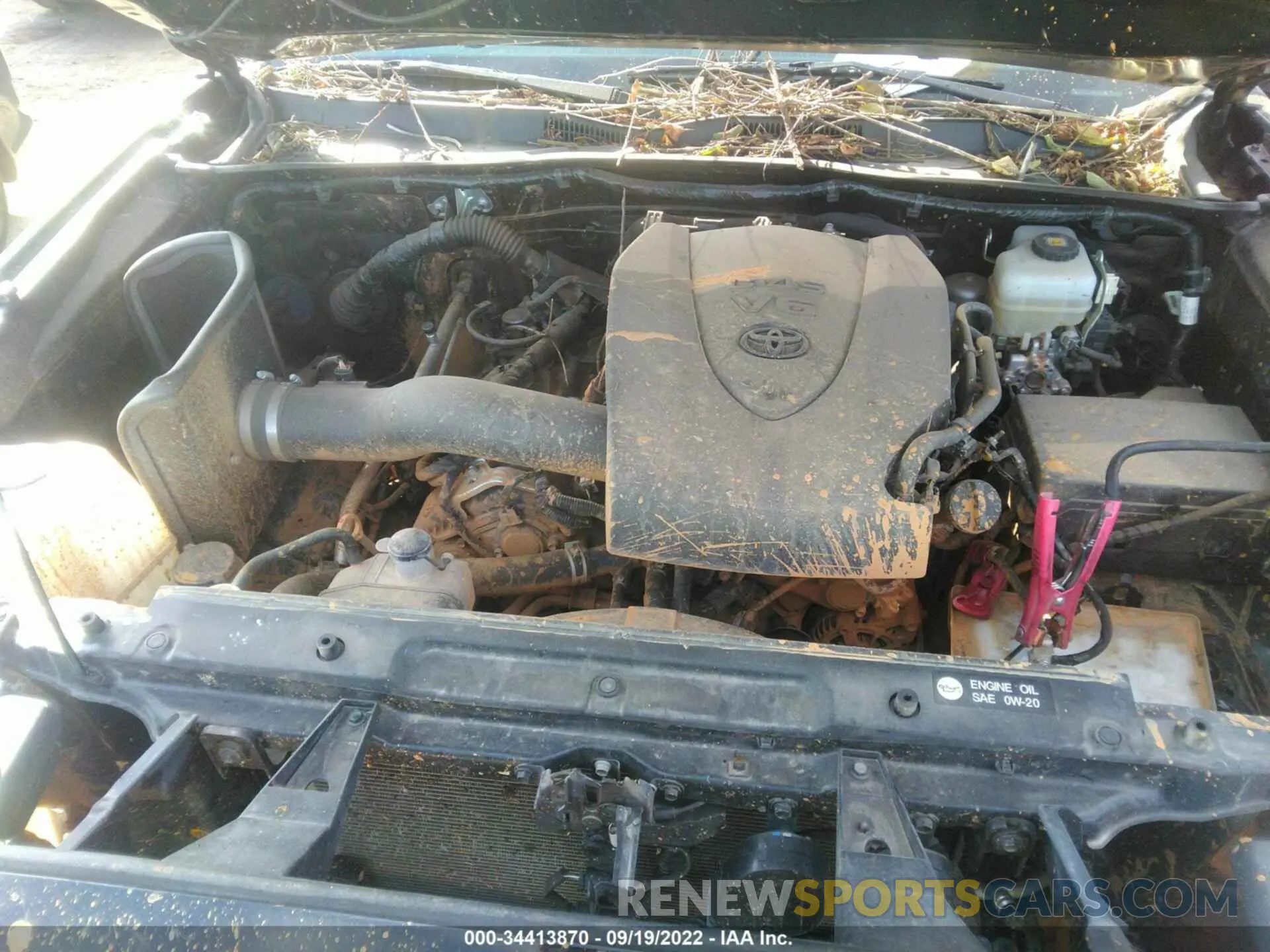 10 fotografías del automóvil dañado 3TMCZ5AN5KM198942 TOYOTA TACOMA 4WD 2019