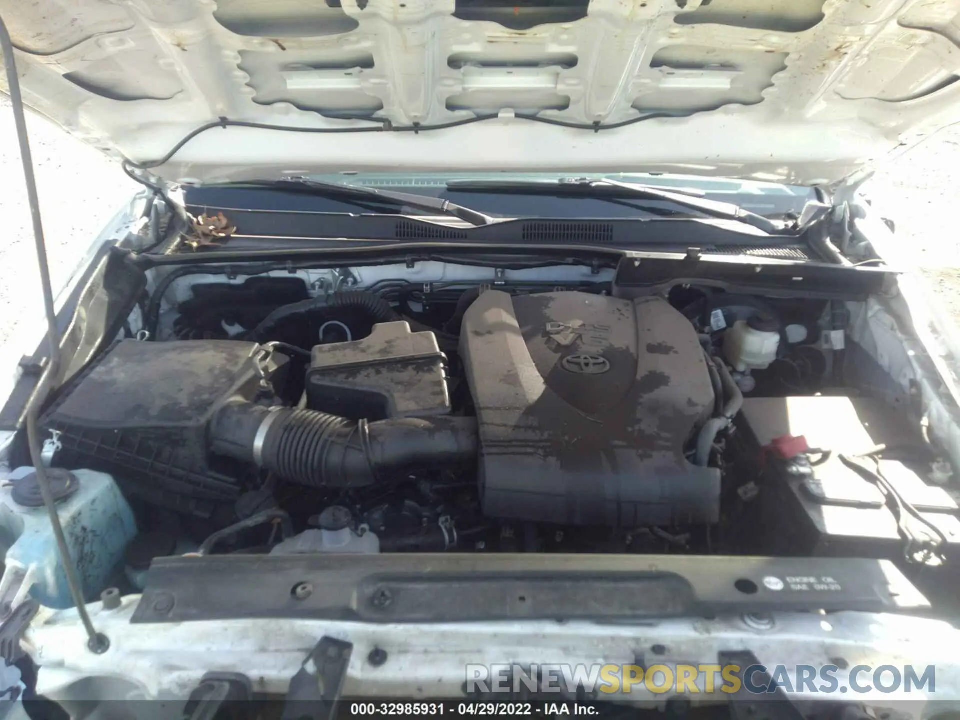 10 fotografías del automóvil dañado 3TMCZ5AN7KM247221 TOYOTA TACOMA 4WD 2019