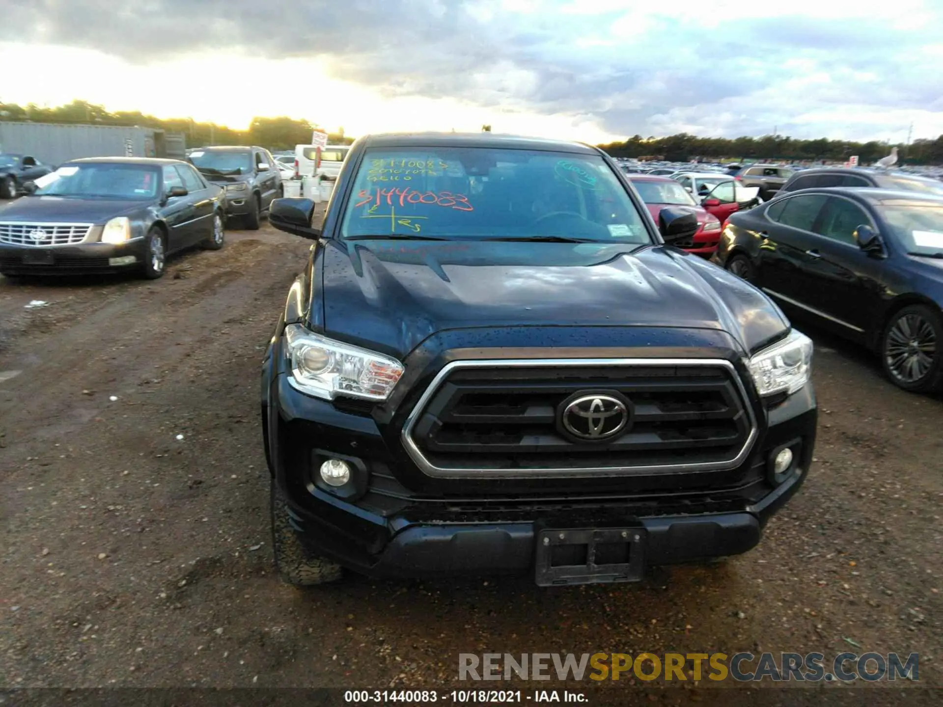 6 fotografías del automóvil dañado 3TMCZ5AN6LM301836 TOYOTA TACOMA 4WD 2020