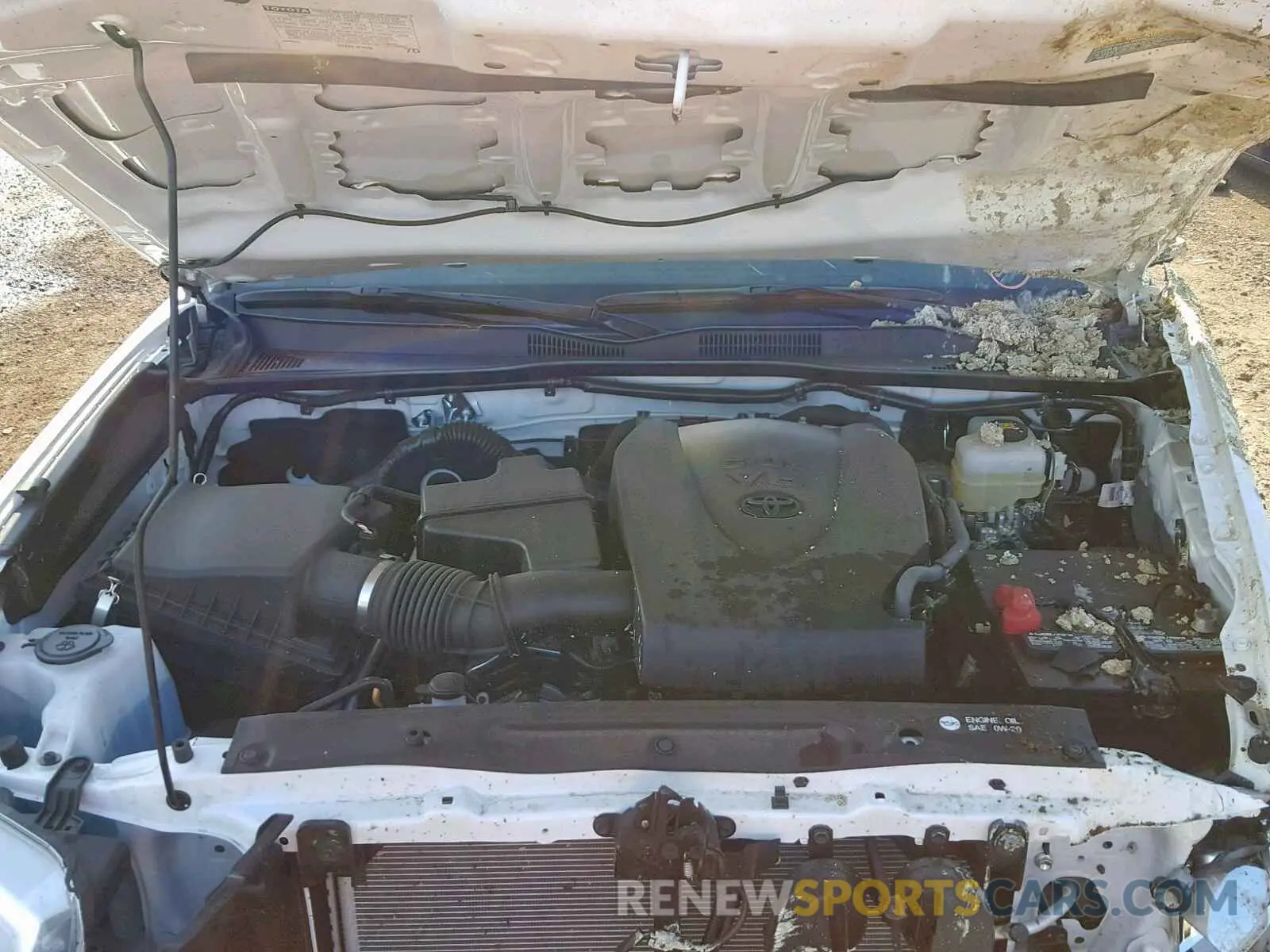 7 fotografías del automóvil dañado 3TMCZ5AN9KM195428 TOYOTA TACOMA DOU 2019