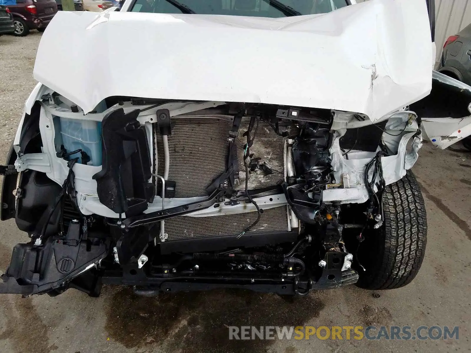 7 fotografías del automóvil dañado 5TFCZ5ANXKX169897 TOYOTA TACOMA DOU 2019