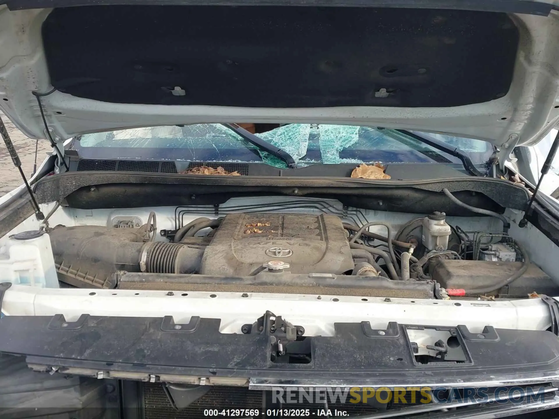 10 fotografías del automóvil dañado 5TFAY5F13KX841010 TOYOTA TUNDRA 2019