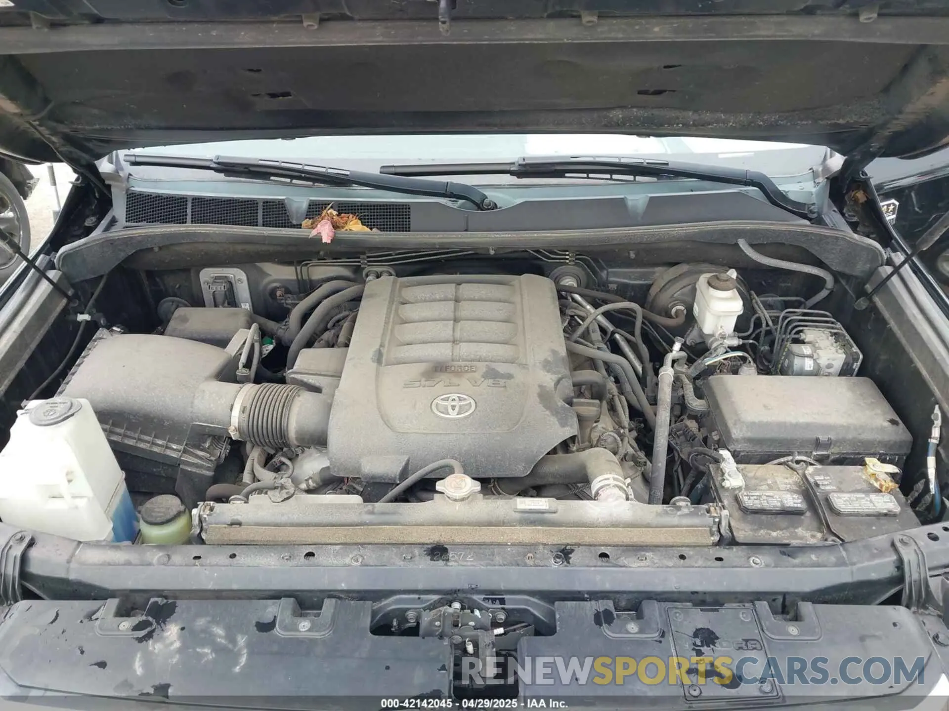 10 fotografías del automóvil dañado 5TFAY5F19KX808531 TOYOTA TUNDRA 2019