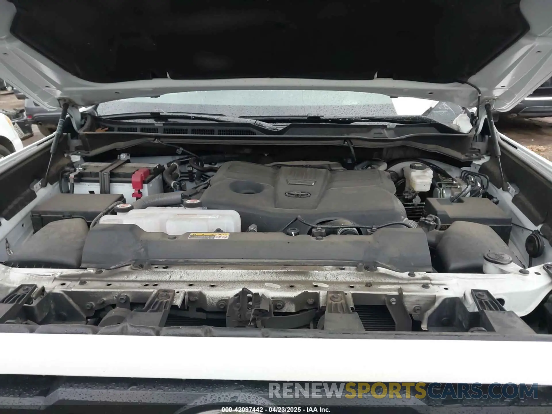 10 fotografías del automóvil dañado 5TFLA5DB3RX181554 TOYOTA TUNDRA 2024