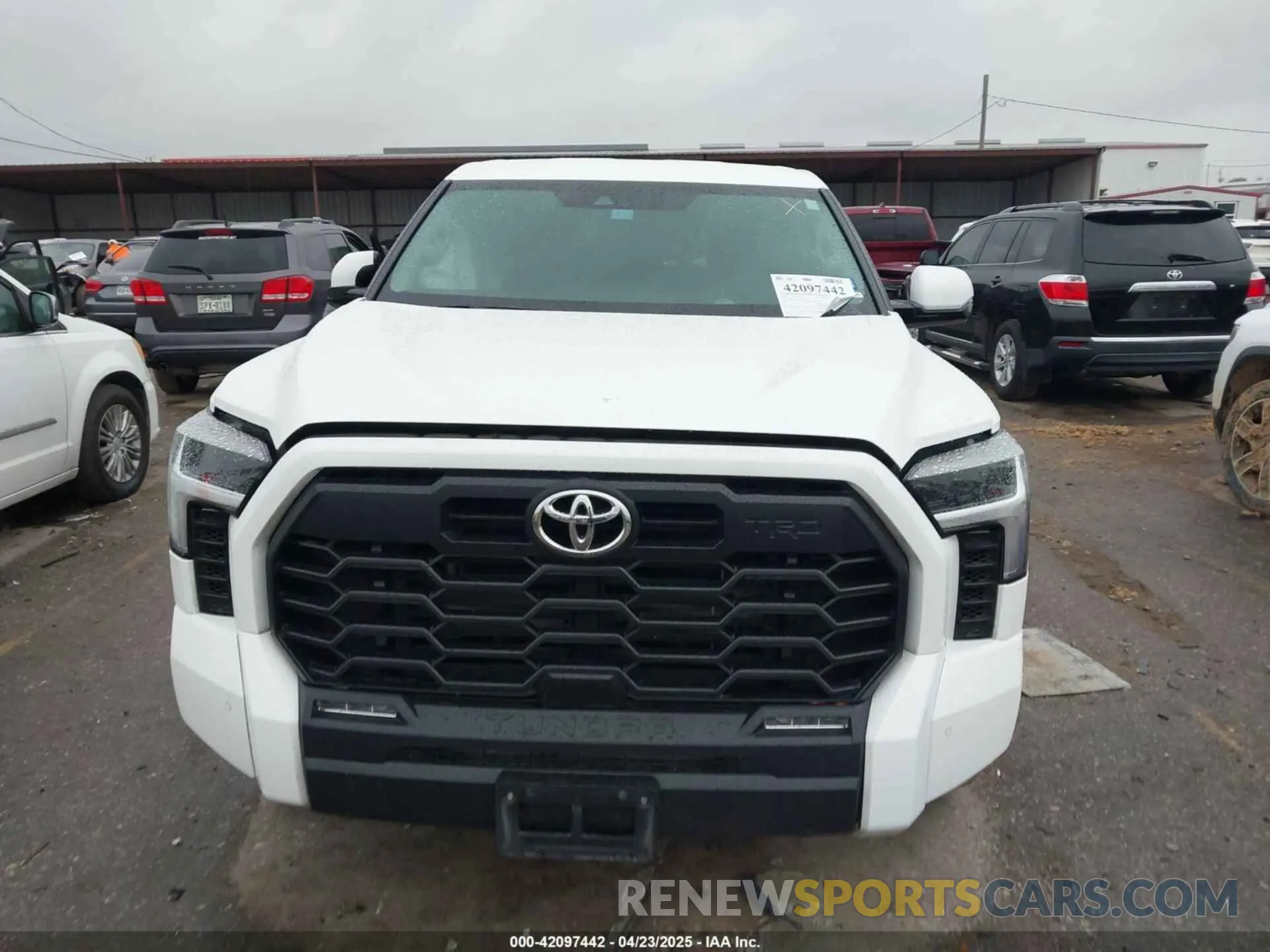 12 fotografías del automóvil dañado 5TFLA5DB3RX181554 TOYOTA TUNDRA 2024