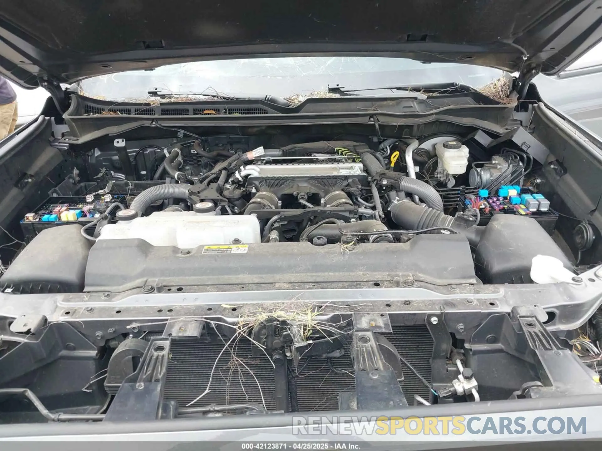 10 fotografías del automóvil dañado 5TFLA5DB4RX145954 TOYOTA TUNDRA 2024