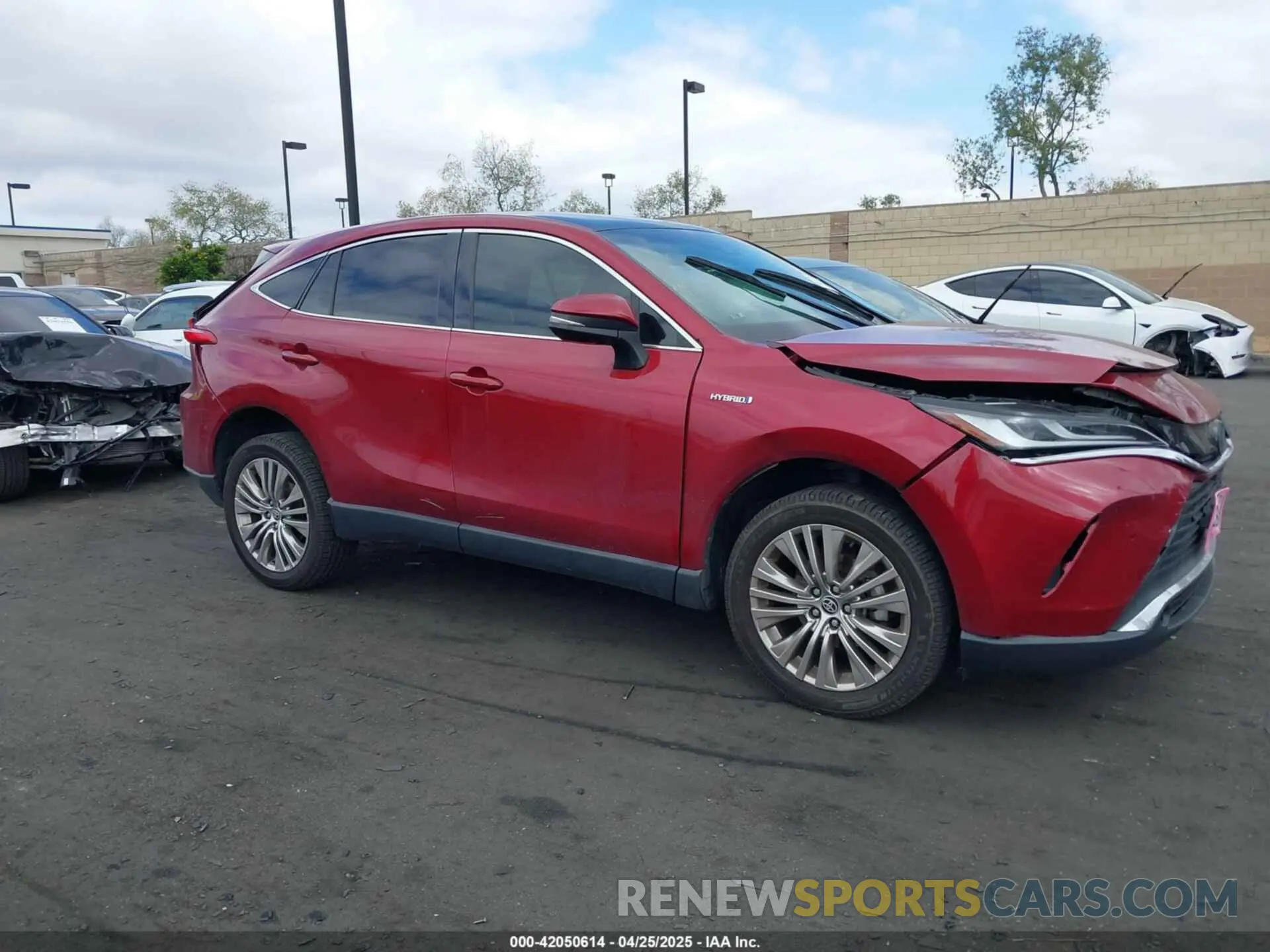 14 fotografías del automóvil dañado JTEAAAAH4MJ004978 TOYOTA VENZA 2021