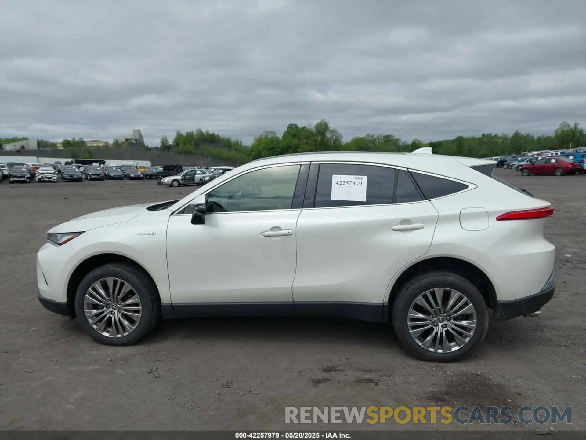 14 fotografías del automóvil dañado JTEAAAAHXMJ068829 TOYOTA VENZA 2021
