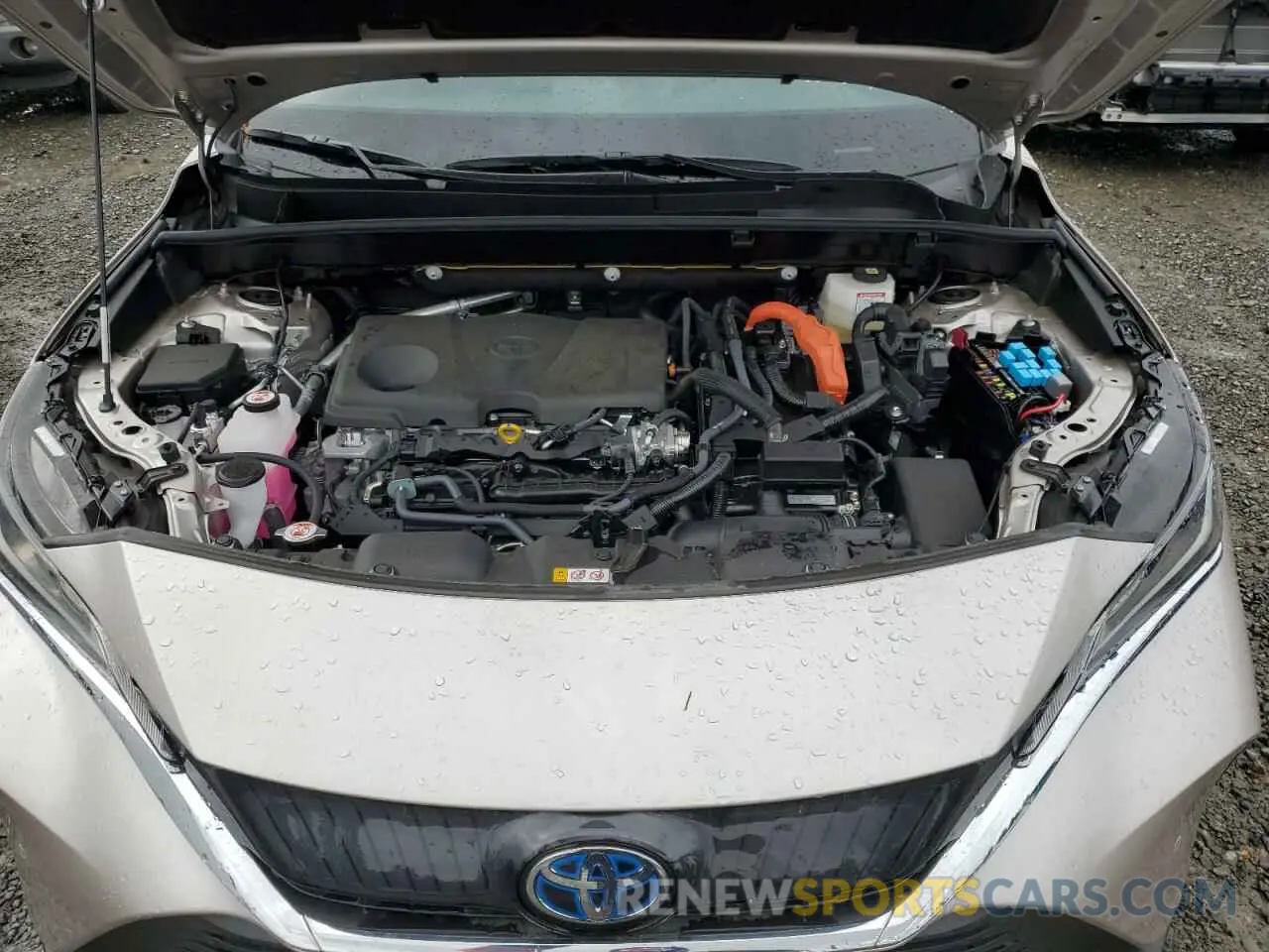 12 fotografías del automóvil dañado JTEAAAAH7RJ166014 TOYOTA VENZA 2024