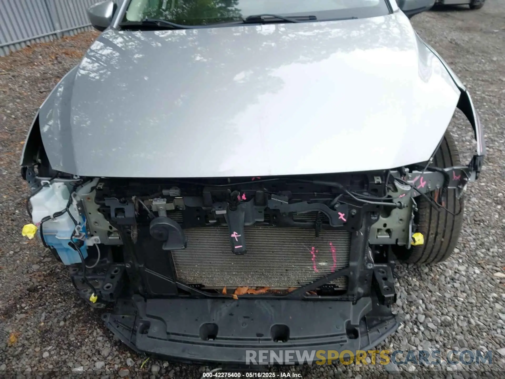 6 fotografías del automóvil dañado 3MYDLBYV3KY525777 TOYOTA YARIS 2019