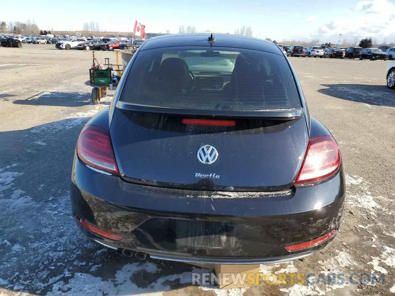 6 fotografías del automóvil dañado 3VWJD7ATXKM702995 VOLKSWAGEN BEETLE 2019