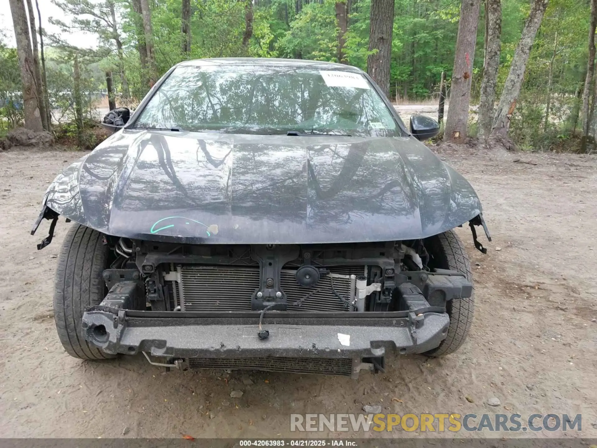 13 fotografías del automóvil dañado 3VWN57BU1KM050449 VOLKSWAGEN JETTA 2019