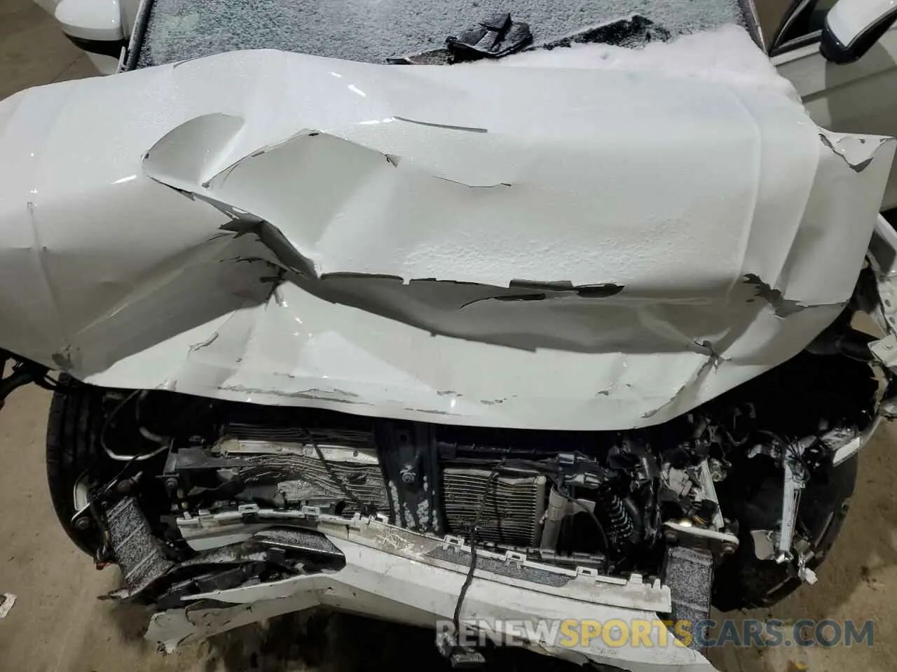 12 fotografías del automóvil dañado 3VV2B7AX6KM005759 VOLKSWAGEN TIGUAN 2019