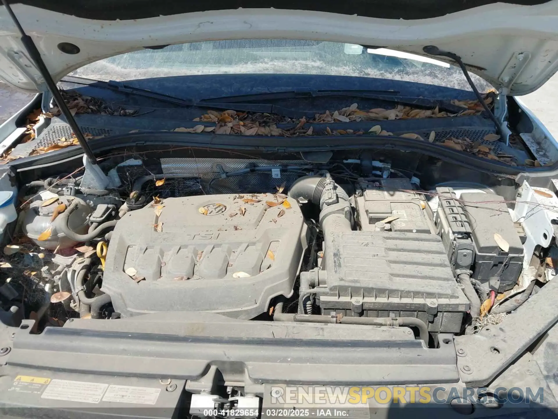 10 fotografías del automóvil dañado 3VV2B7AX4MM031490 VOLKSWAGEN TIGUAN 2021