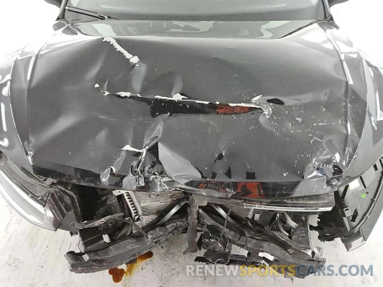 12 fotografías del automóvil dañado 3VV3B7AX2RM125086 VOLKSWAGEN TIGUAN 2024