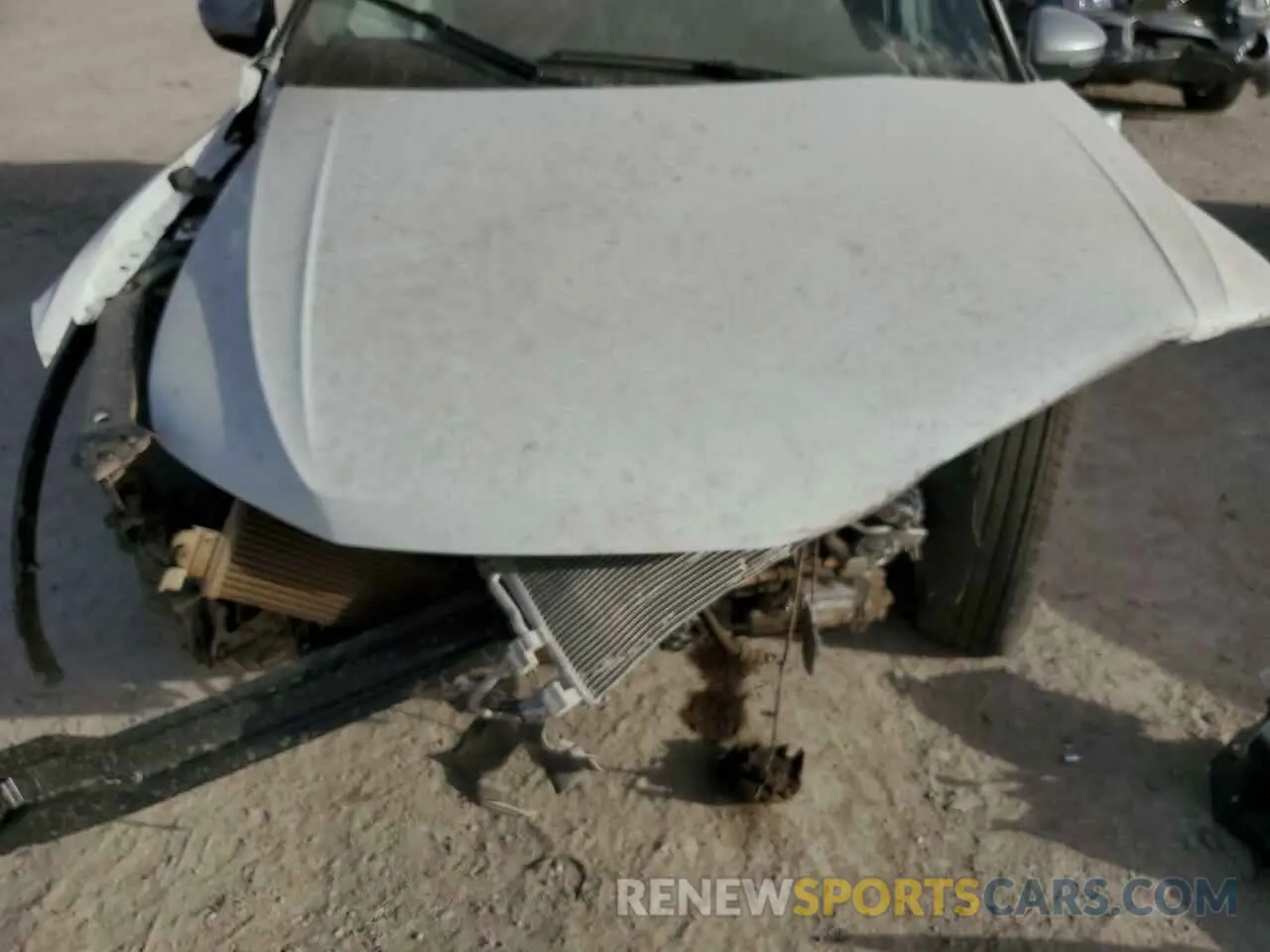 13 fotografías del automóvil dañado 3VVAB7AX9RM220316 VOLKSWAGEN TIGUAN 2024